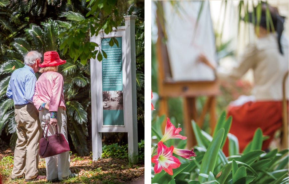 Split image of Elder Couple and woman painting 